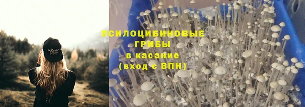 гашик Армянск