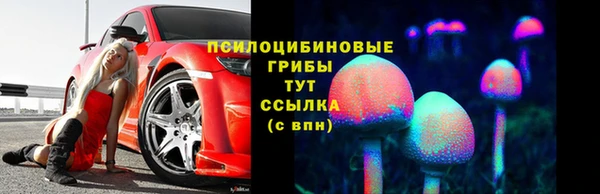 молекула духа Аркадак