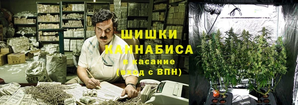 трава Арсеньев