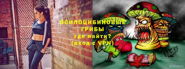 трава Арсеньев