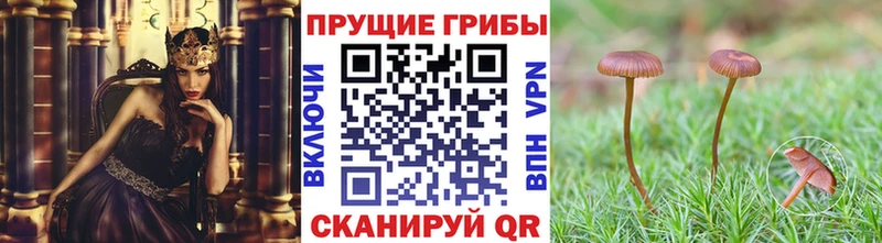 Псилоцибиновые грибы Magic Shrooms  Оленегорск 